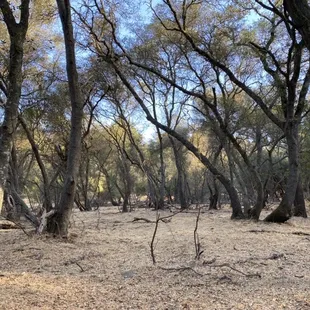 Lots of space and views