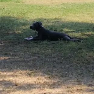 Chilling like a frog.