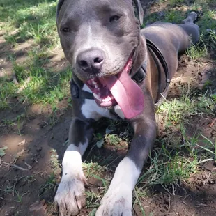Happy and tired, chilling in the cool mud