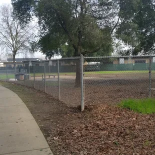 Side view of dog area