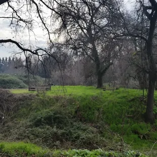 Another area for seating, over the creek