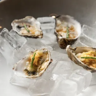 Kimchi Oysters
