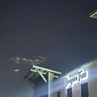 Stars are shining  Airplane coming in for landing  Banyan Tree is here