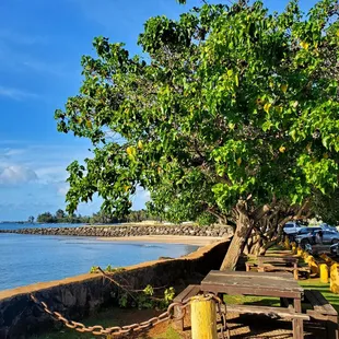 Picnic table area across from the Cafe