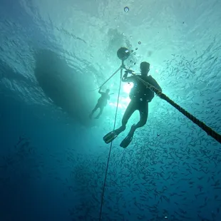 Going down to the wreck