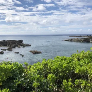 Banzai Lava Tube (2-tank) dives include Sharks Cove and Cathedrals, 2 of the most spectacular dive spots in the world.  Amazing.