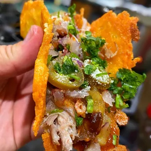 The Jester Gourmet Taco