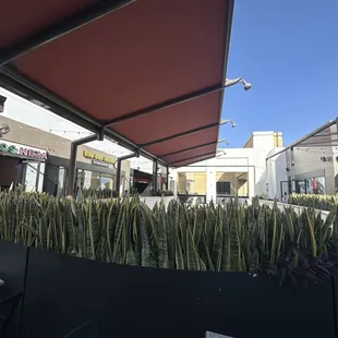 outside