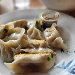 Pan Fried Dumplings
