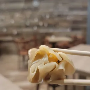 Shrimp Shumai close-up