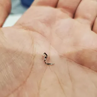 Safety issue!!! I ordered from this place on UberEats and got a nice metal shaving in my drink! Also thr milk tea is flavorless.