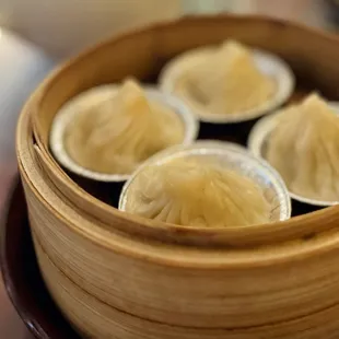 Juicy Pork Dumplings