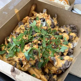 Bulgogi Fries