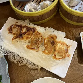 Pan Fried Kimchi Beef Pot Stickers (5)