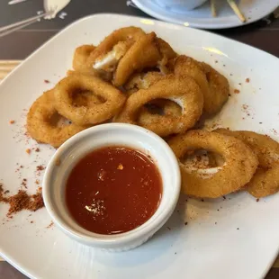 Fried Calamari