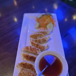 Pan Fried Chicken Dumplings