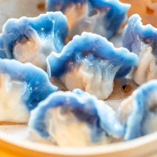 Chicken &amp; Cabbage Dumplings