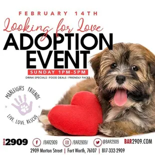 Come find your true love February 14, 2021 @bar2909 from 1pm-5pm.