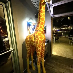 Didn't get his name - but he was lovely