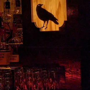 a black bird on the bar