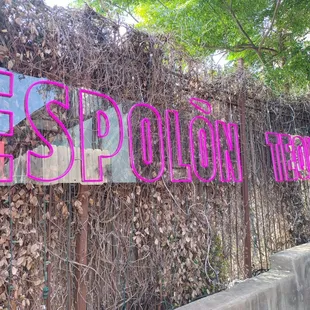 a neon sign on a wall