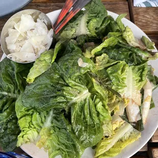 Little Gem Lettuce Salad