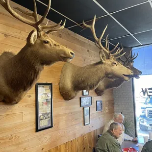 Decor in the seating area