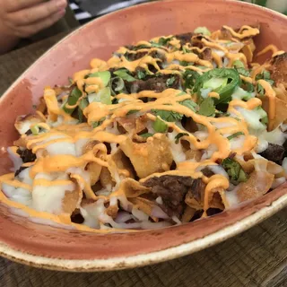 Wonton Nachos