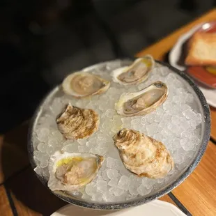 Oysters