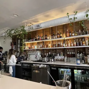 people standing at the bar