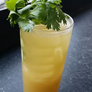 Vodka, scarlet ibis rum, ginger, mint, cilantro, cumin, black pepper, and soda