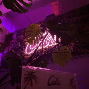 Plants. Dance lights.