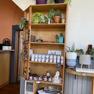 a shelf full of plants