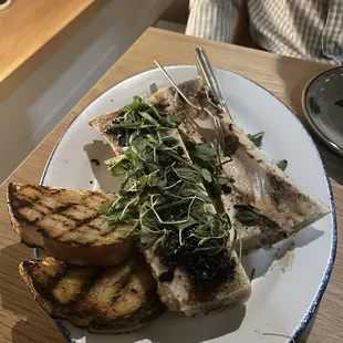 Bone Marrow