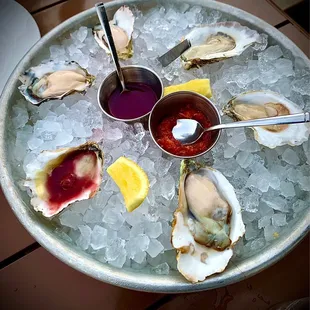 Variety of oysters