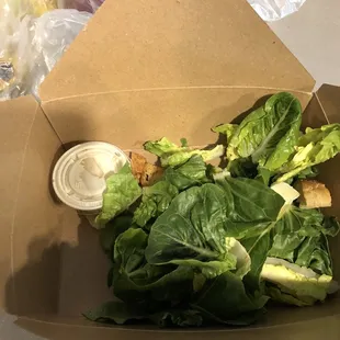 Caesar Salad