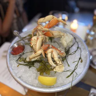 Dungeness Crab