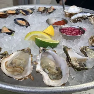 Oysters + herb mussels