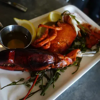 Maine Lobster