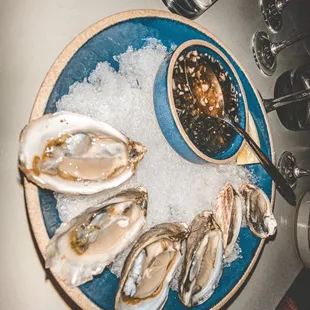 Oysters