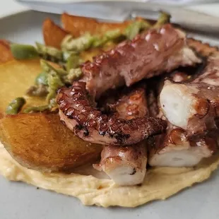 Octopus