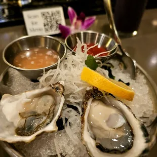 Oysters!