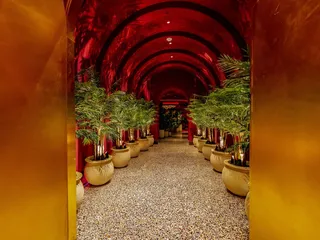 Rouge Room