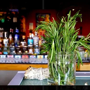 interior, sushi and sashimi