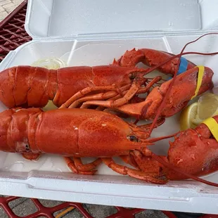 Steamed lobster
