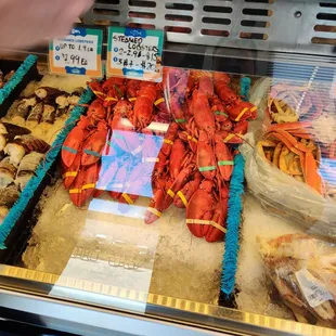 Steamed lobster