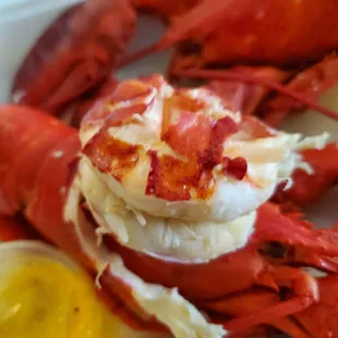 Twin lobsters with drawn butter