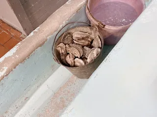 Lee and Ricks Oyster Bar