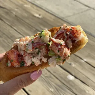 Lobster roll maine style