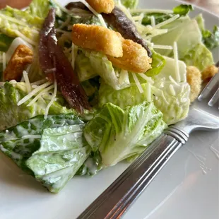 Caesar with anchovy . . YES!
